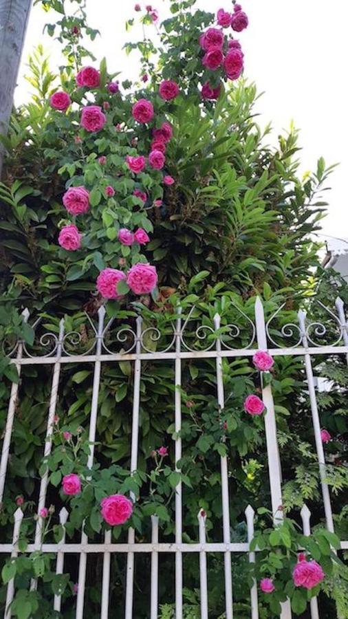 Doux Cocon De 50 M2 Paris-Le Raincy公寓 外观 照片